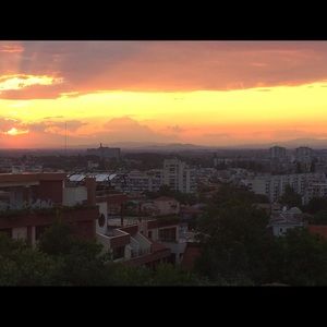 Meet your Posher, Dana